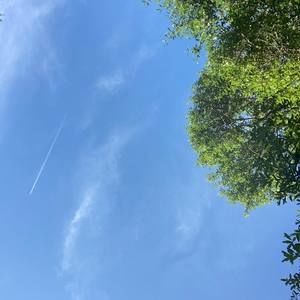 Meet your Posher, Xavier